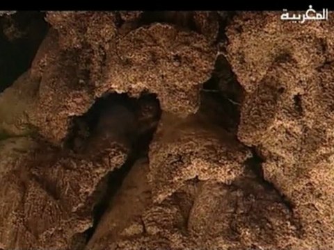 1000 Grottes et une grotte