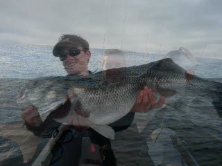 pêche sportive du bar