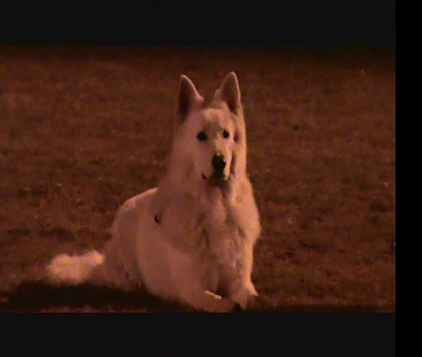 EL-DIABLO 28.02.2012