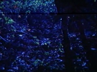 Magadu - Rajasekhar In The Forest