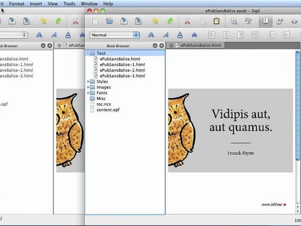 Adobe InDesign CS5.5 : Zoom sur l'ePub