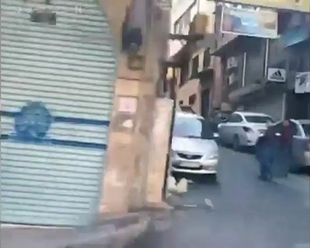 فري برس حماه المحتلة إضراب مدينة حماة يوم الدستور 2012 2 26