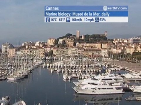 Berlin - Germany, Sydney - Australia, Warsaw - Poland, Budapest - Hungary, Cannes - France, Lugano - Ticino - Switzerland, Muscat - Oman