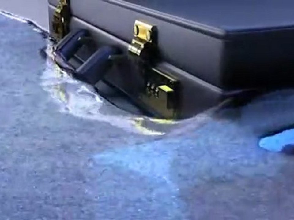 Zeitgeist: Requiem for One (The Zeitgeist Media Festival 2011) Movement by Peter Joseph