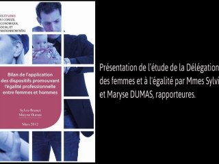Bilan de l'application des dispositifs promouvant l'égalité professionnelle entre femmes et hommes - cese