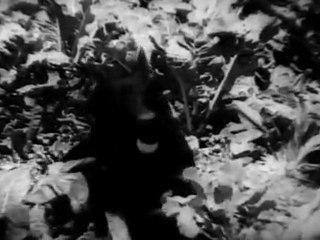 NEER VAZHI SCENE 3.mov