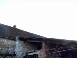 les grues Champvallon 29 avril 2012