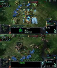 [SC2] mouzMaNa (P) Vs SjoW (T) : Views of 2 players Starcraft II :
