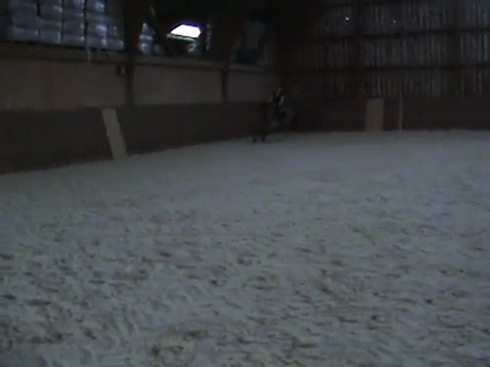 Parity - 29.02.2012 - Galop