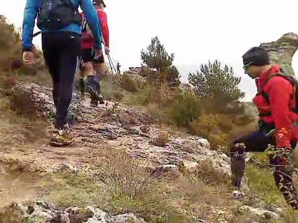 les templiers 2011