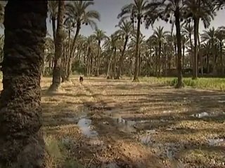 Storia della matematica - (1 di 24)