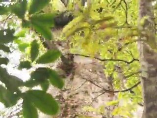 TDM-32 BALADE SUR ET SOUS TERRE HD