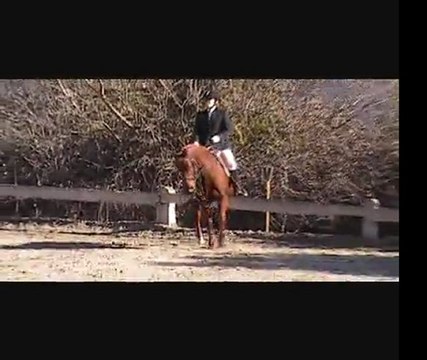 Dressage CE Collet Rouge Club 3 Préliminaire 26.02.12