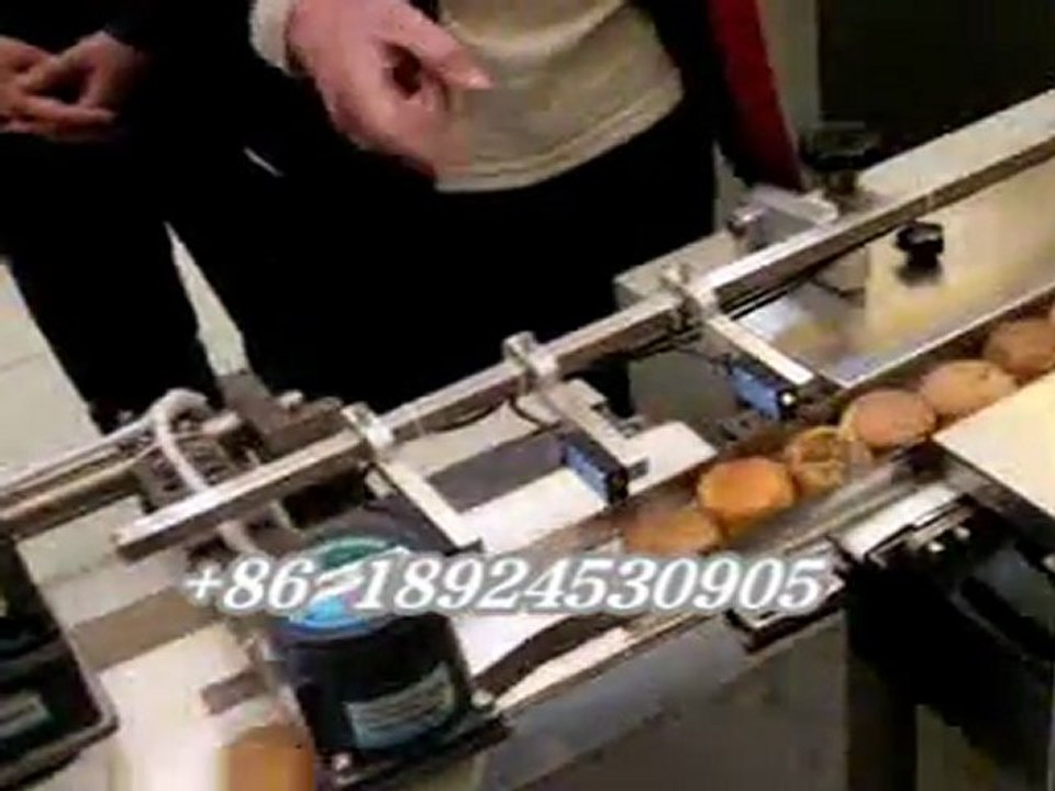 china fully automatic bread packing machine