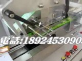 automatic biscuit/cookie packaging machine russia