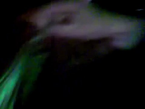 فري برس الحسكة العزيزية مسائية 29 02 2012 ج4