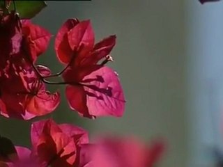 Storia della matematica -  (5 di 24)