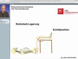 LNB-Dr-Heck-Rueckenschmerzen-Teil-2