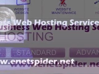 business web hosting service