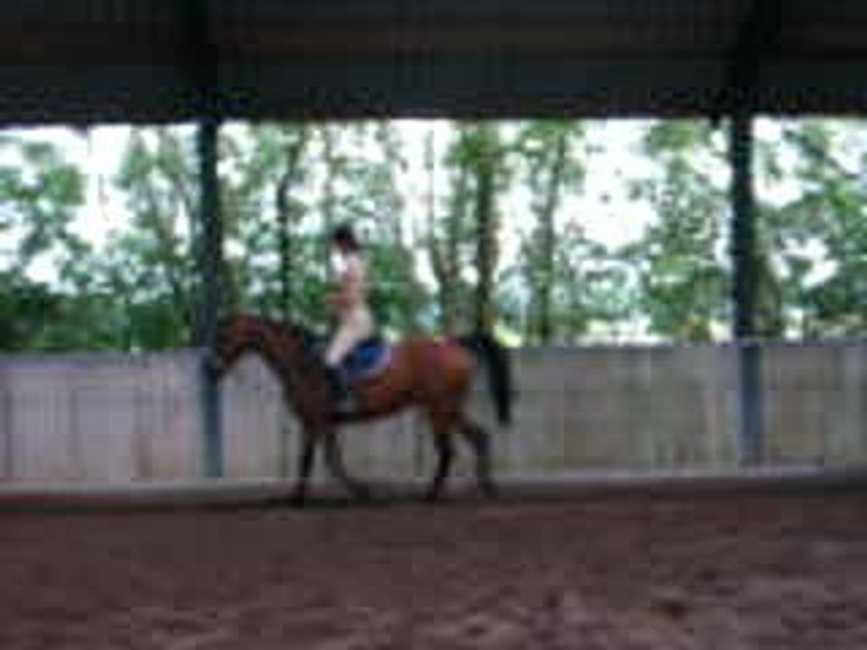 4 accèl long et extention encol