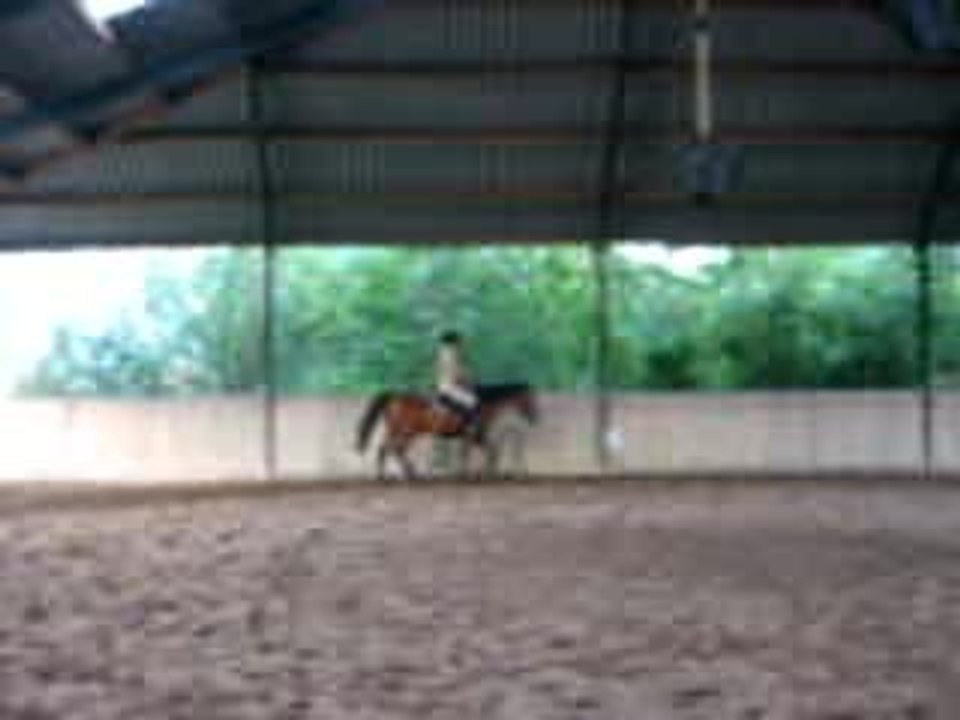 13 galop leger
