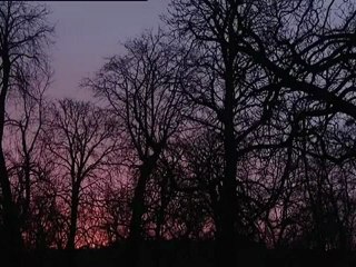 Storia della matematica - (23 di 24)