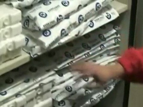 Perros adiestrados para detectar chinches, una plaga que resurge en España