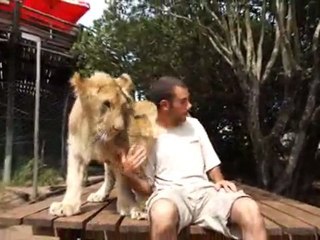 AHIR ZAMANDA VAHSI HAYVANLAR INSANLARLA BIRARADA