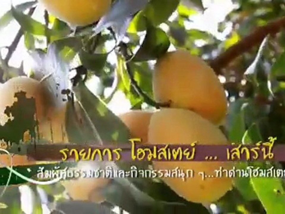 รายการข่าว World Update ประจำวันที่ 1 มีนาคม 2555 เวลา 20.30-20.45 น.