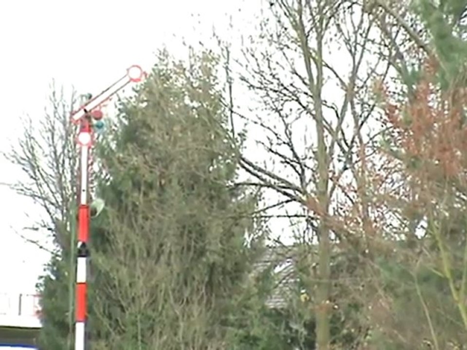 Mainsigal Alfter Oedekoven Bonn Duisdorf in Action