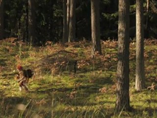 Europavox 2012 ; Ewert and the two dragons - Good Man Down