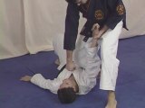 Nihon Tai Jitsu : combat et kata