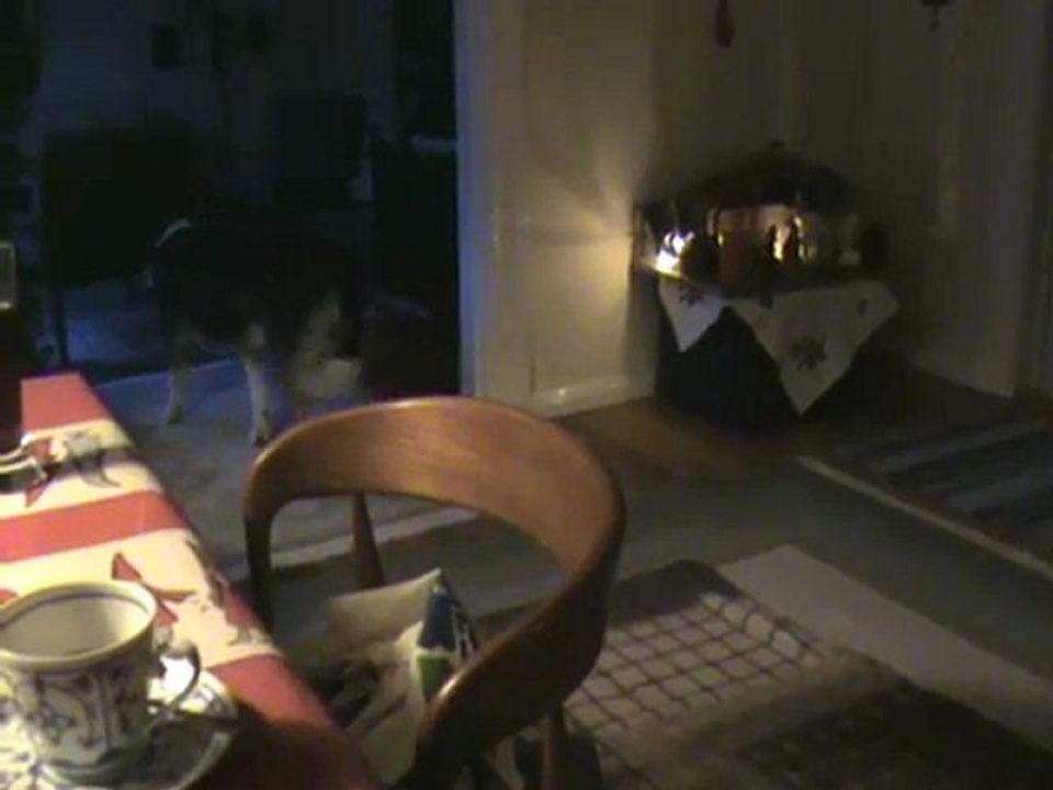 Familienhund Kaja legt sich auf die Couch