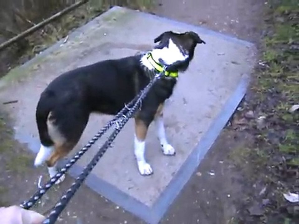 Tunnel der ehemaligen Kieler Strecke in Flensburg 03