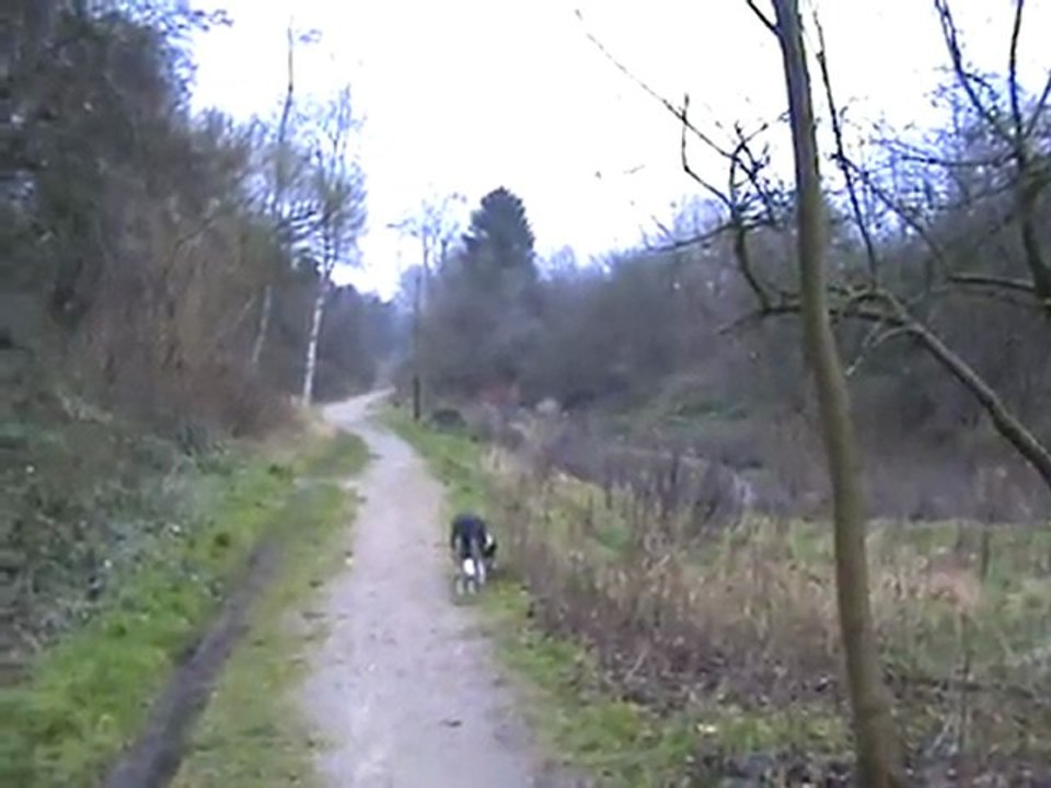 Flensburger Kreisbahn Damm an der Nordstraße