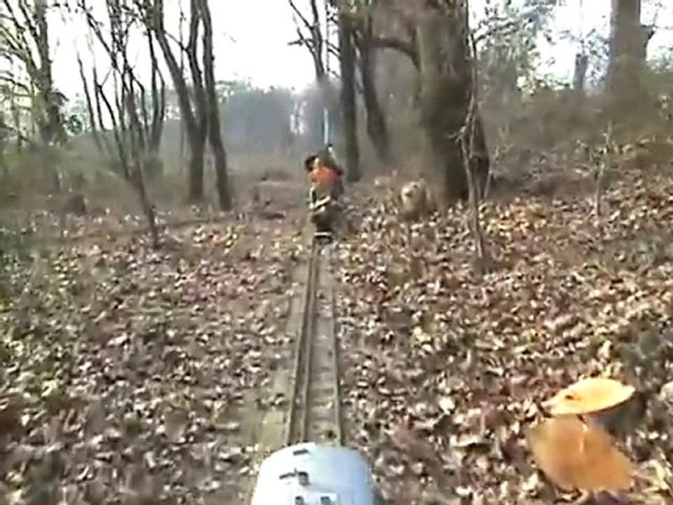 Führerstandsmitfahrt fünf Zoll BR216 Stadtpark Leverkusen 02