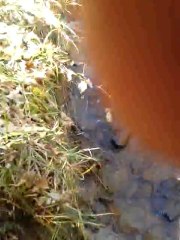 video-2012-02-29-13-23-16