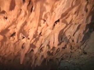 Plongée dans un tunnel de lave - ile de la reunion