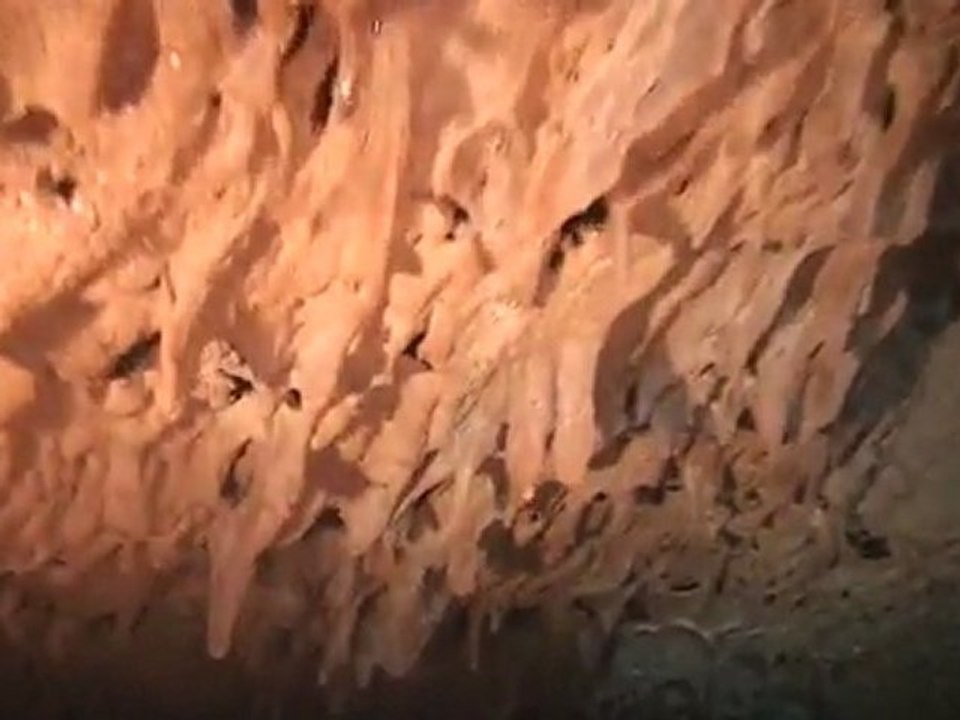 Plongée dans un tunnel de lave - ile de la reunion