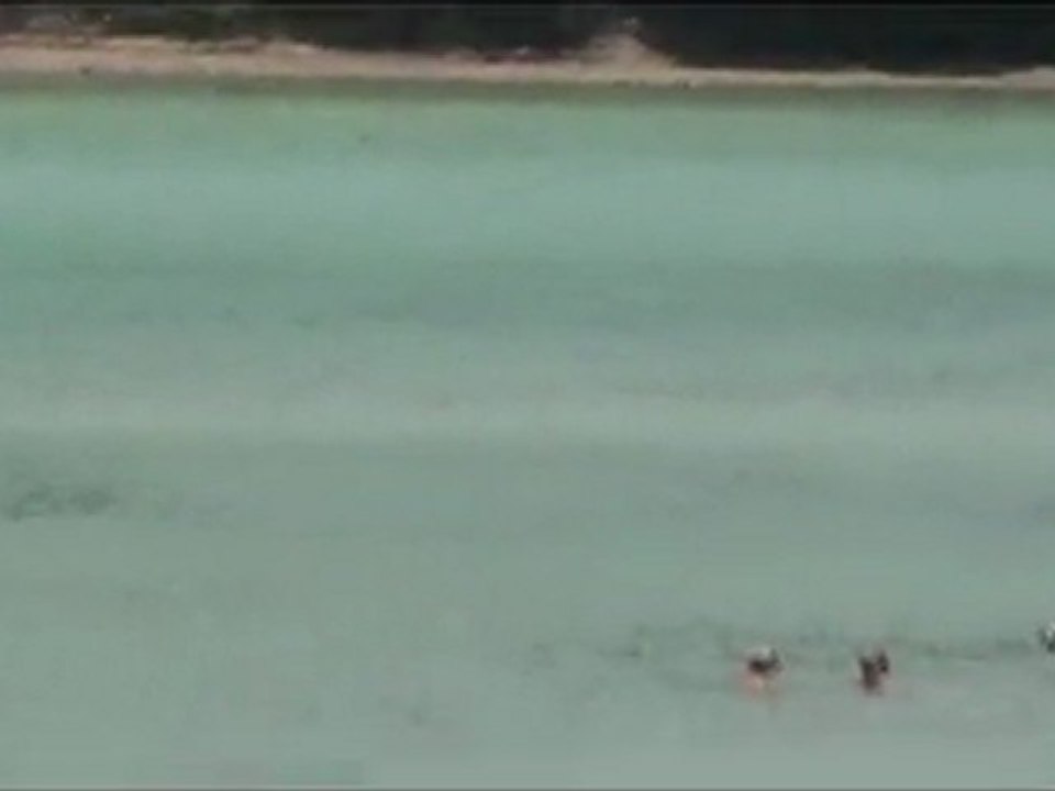 PHI PHI-13.4.2011