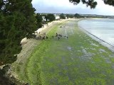 Coordination Marées Vertes - séquence 1 - Fouesnant Cap-Coz (29), 18 septembre 2011