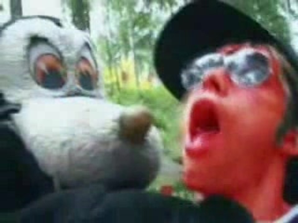 Les Wampas - J'ai avalé une mouche