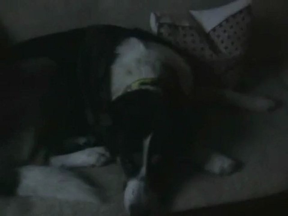 Kaja liegt auf der Couch