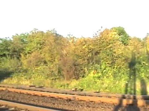 BR 185 mit gedeckten Güterwagen und Flachwagen in Richtung Köln Bonn vor der Rheinbreitbacher Kurve