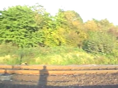 BR 185 mit diversen Güterwagen auf dem Weg nach Köln Bonn vor der Rheinbreitbacher Kurve