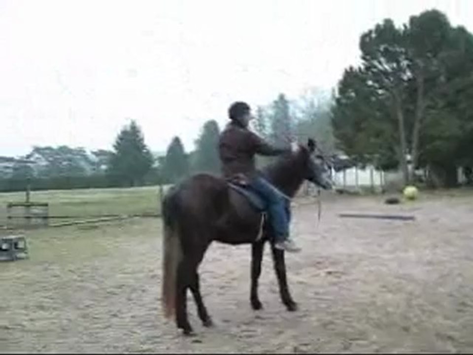 03.12 freestyle jeu de l'amitié