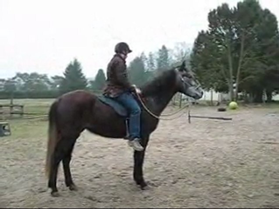 03.12 freestyle  hanches