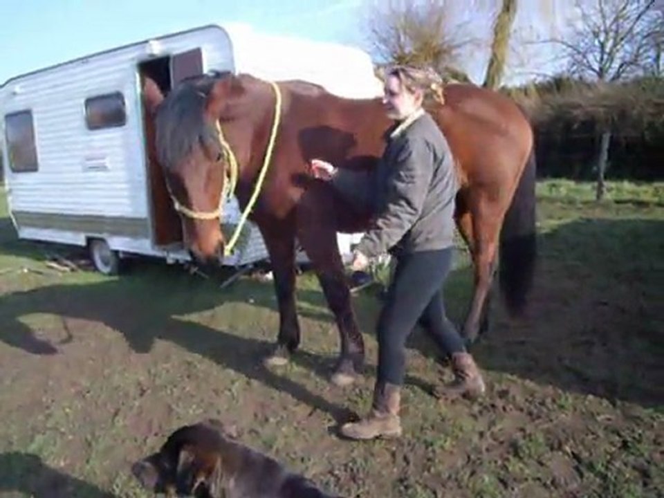 Fleion d'encoulure pour réeducation garrot