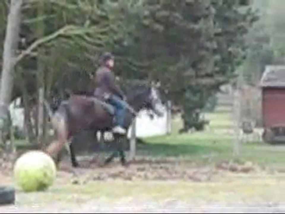 03.12 freestyle transitons