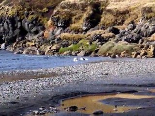 2011 08 25 Crozet la Possession  baie américaine-Écran